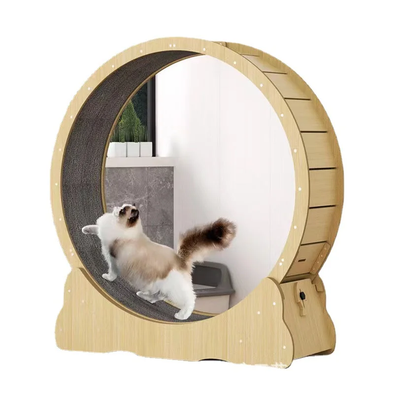 Interactive Cat Toy - Kedi koşu çarkı, iç mekan oyuncağı,