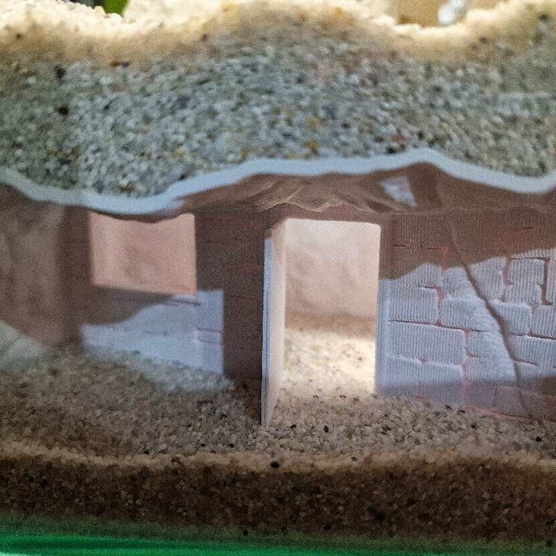 3D Baskılı Gizli Ev Balık Tank - Pet Supplies Fish incelemesi ve fiyatı