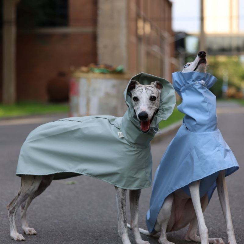İtalyan Tazısı ve Whippet için - Dog Raincoat incelemesi ve fiyatı