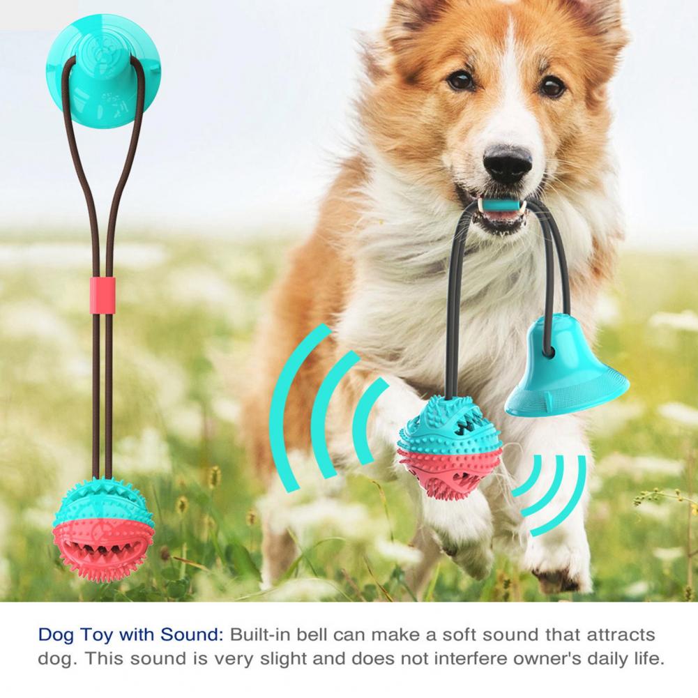 Agresif Çiğneme Oyuncakları iç - Dog Treat Puzzle Toy incelemesi ve fiyatı
