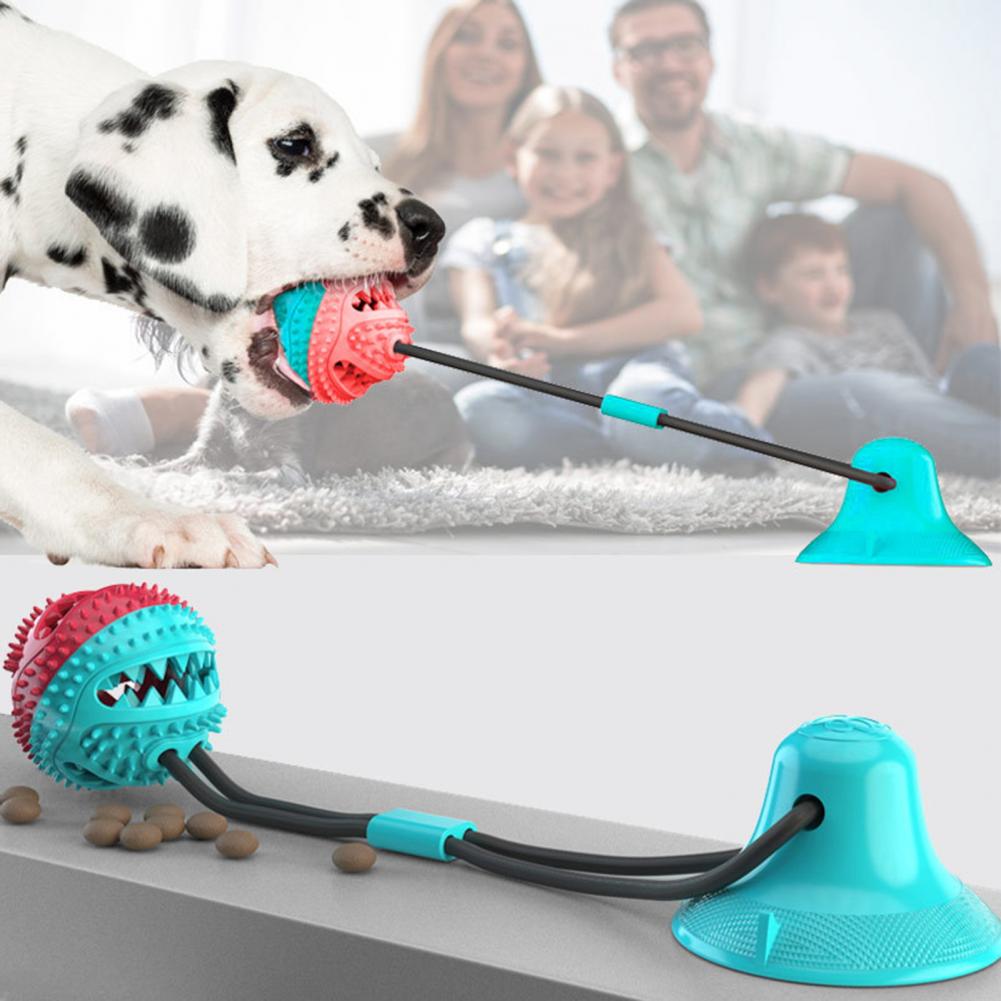 Agresif Çiğneme Oyuncakları iç - Dog Treat Puzzle Toy incelemesi ve fiyatı