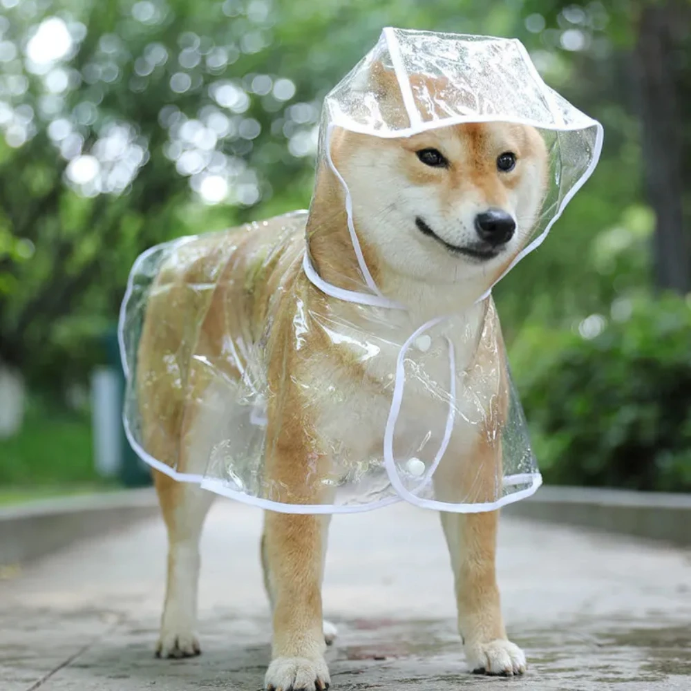 Köpek Yağmurluk Köpek Şeffaf Y - Dog Raincoat incelemesi ve fiyatı