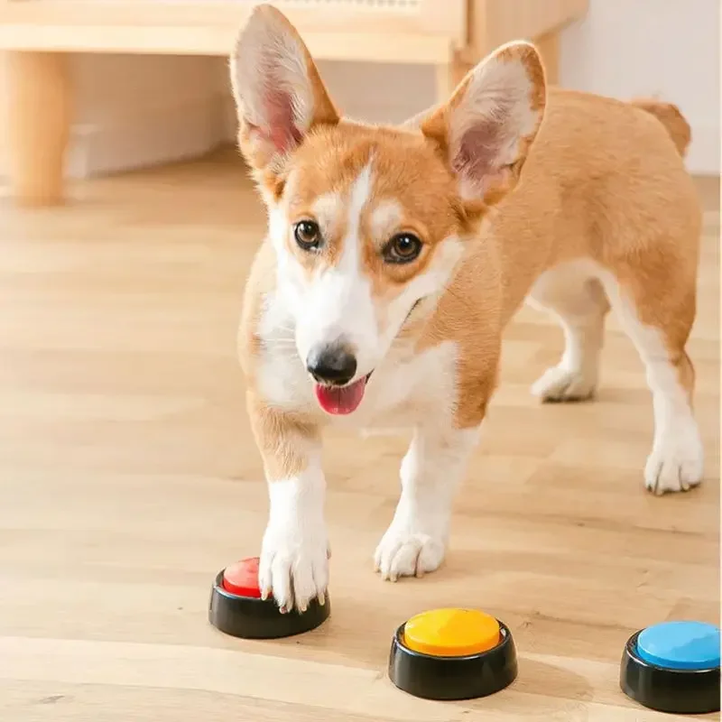 Pet Ses Kutusu Kaydedilebilir  - Interactive Cat Toy incelemesi ve fiyatı