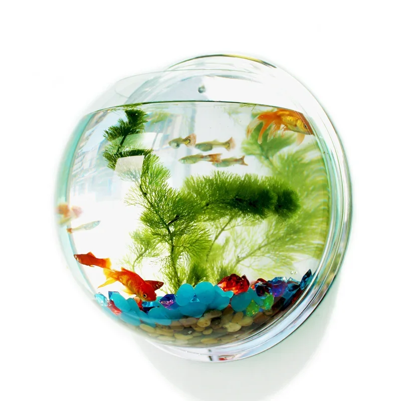 Pinsjar Akrilik Balık Kase Duv - Pet Supplies Fish incelemesi ve fiyatı