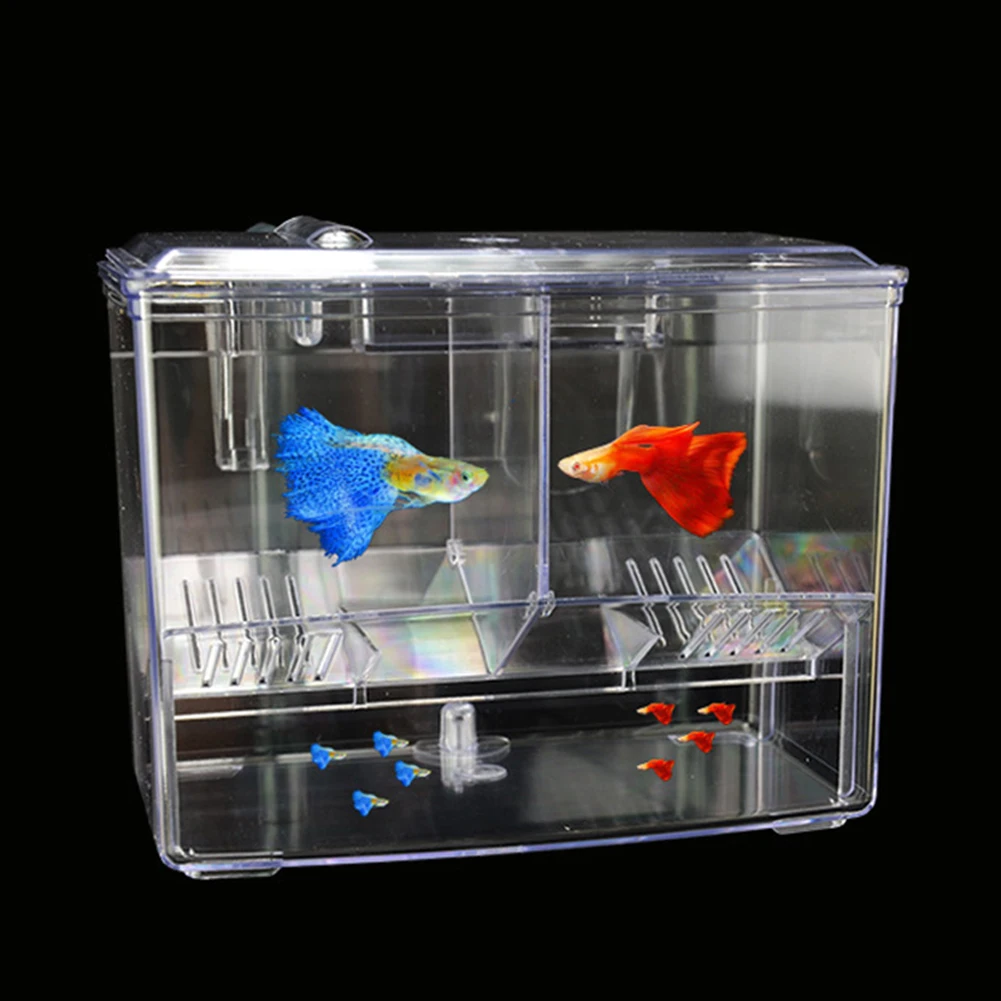 1.25L 2.5L Akvaryum Balık Yeti - Pet Supplies Fish incelemesi ve fiyatı
