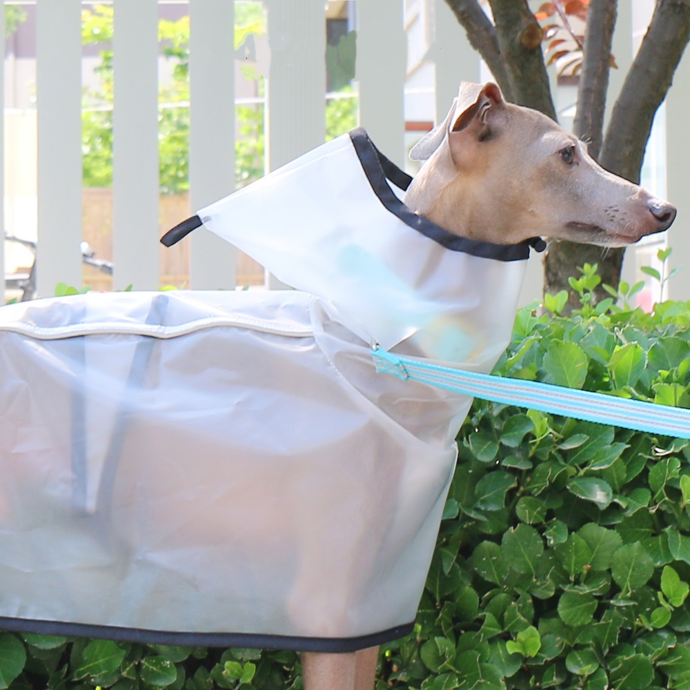 Su geçirmez Yağmur Geçirmez Rü - Dog Raincoat incelemesi ve fiyatı