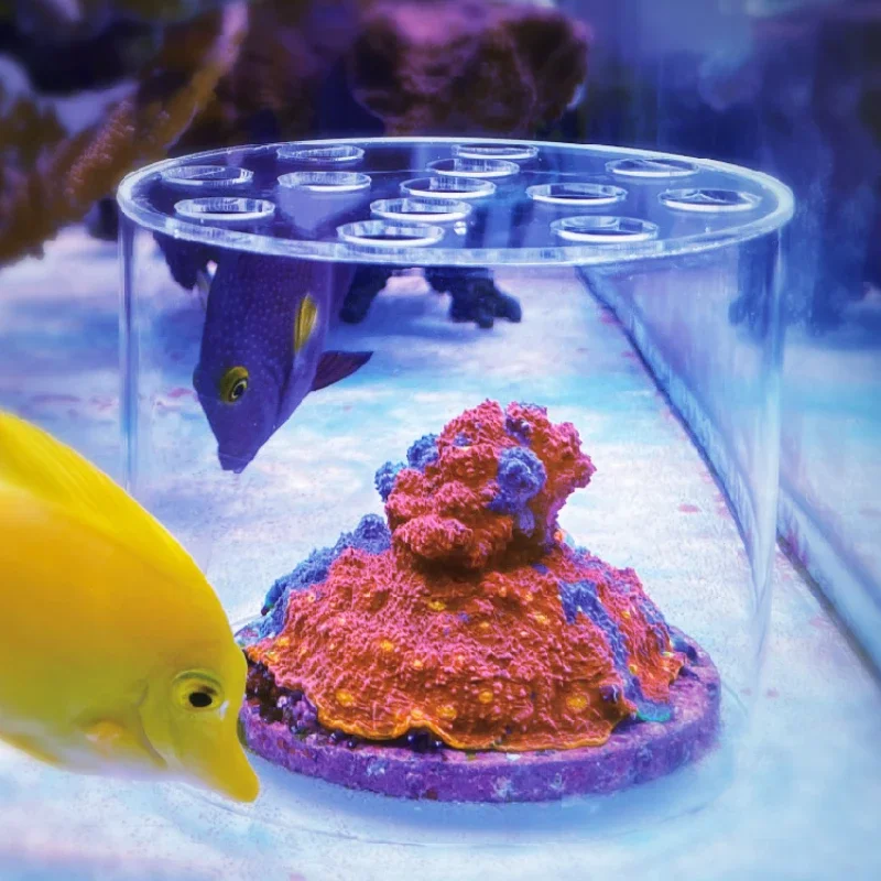 Vastocean Akvaryum Akrilik Mer - Pet Supplies Fish incelemesi ve fiyatı