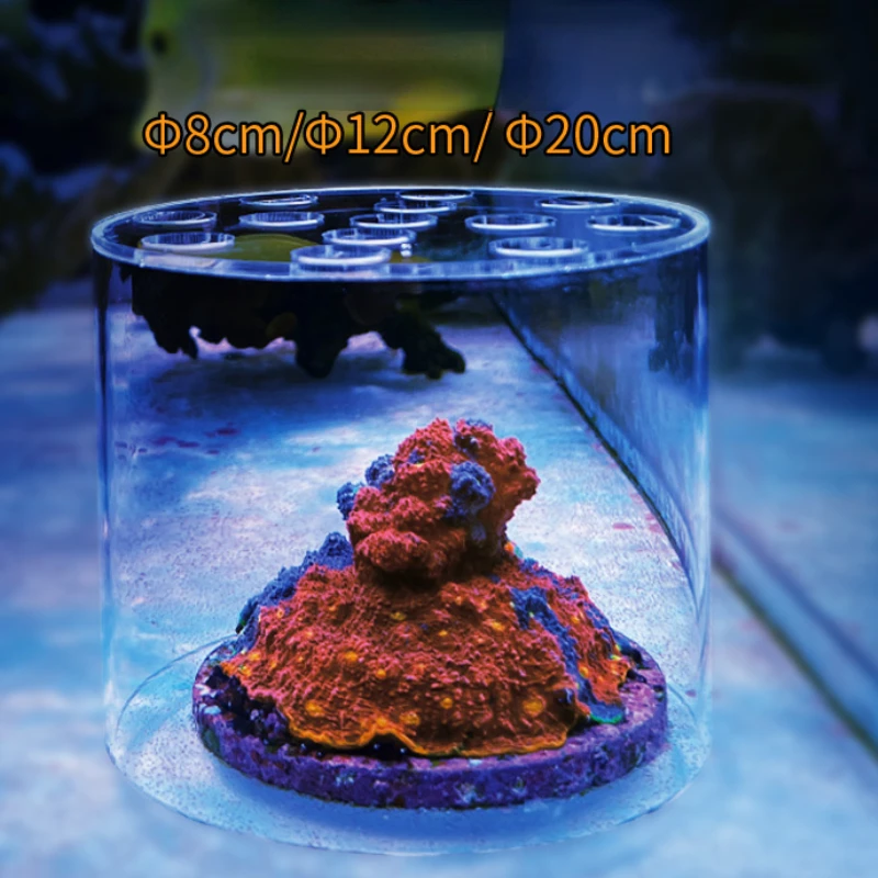 Vastocean Akvaryum Akrilik Mer - Pet Supplies Fish incelemesi ve fiyatı