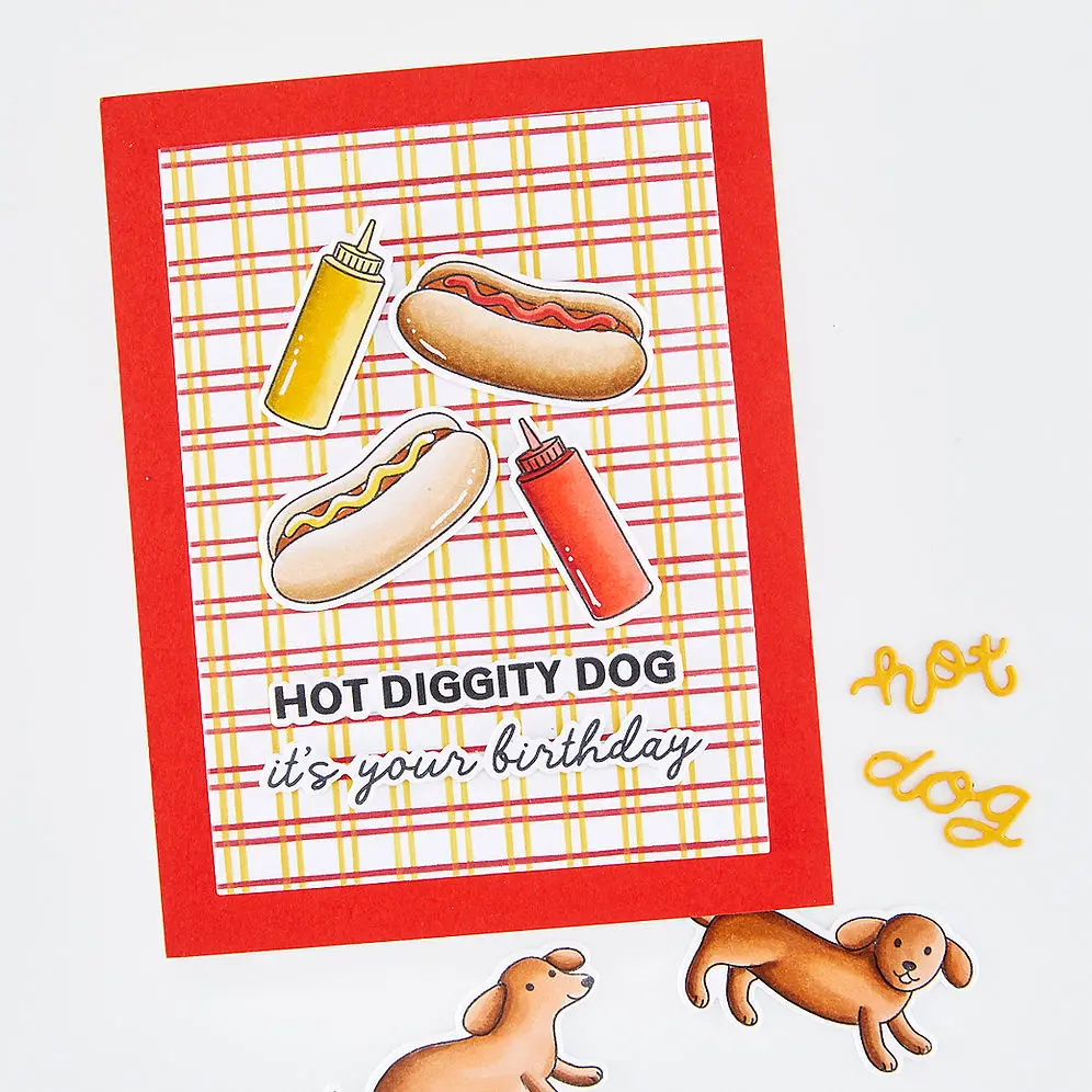 Hot Diggity Dog sıkılabilir şi - Dog Raincoat incelemesi ve fiyatı