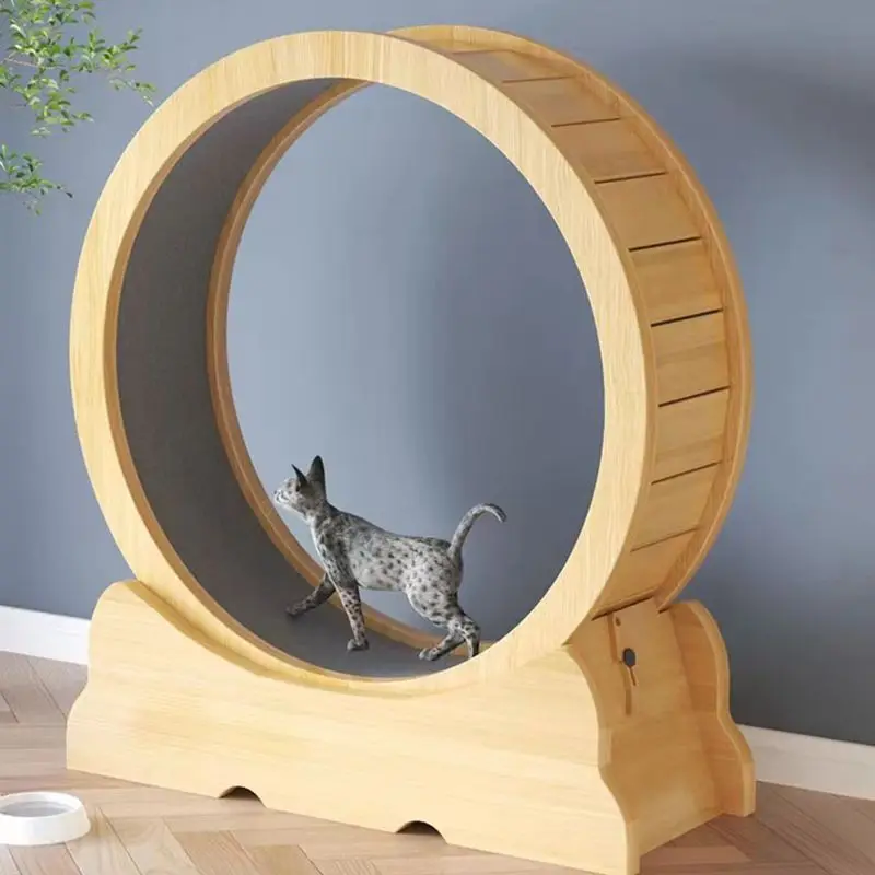 Kedi koşu çarkı, iç mekan oyun - Interactive Cat Toy incelemesi ve fiyatı
