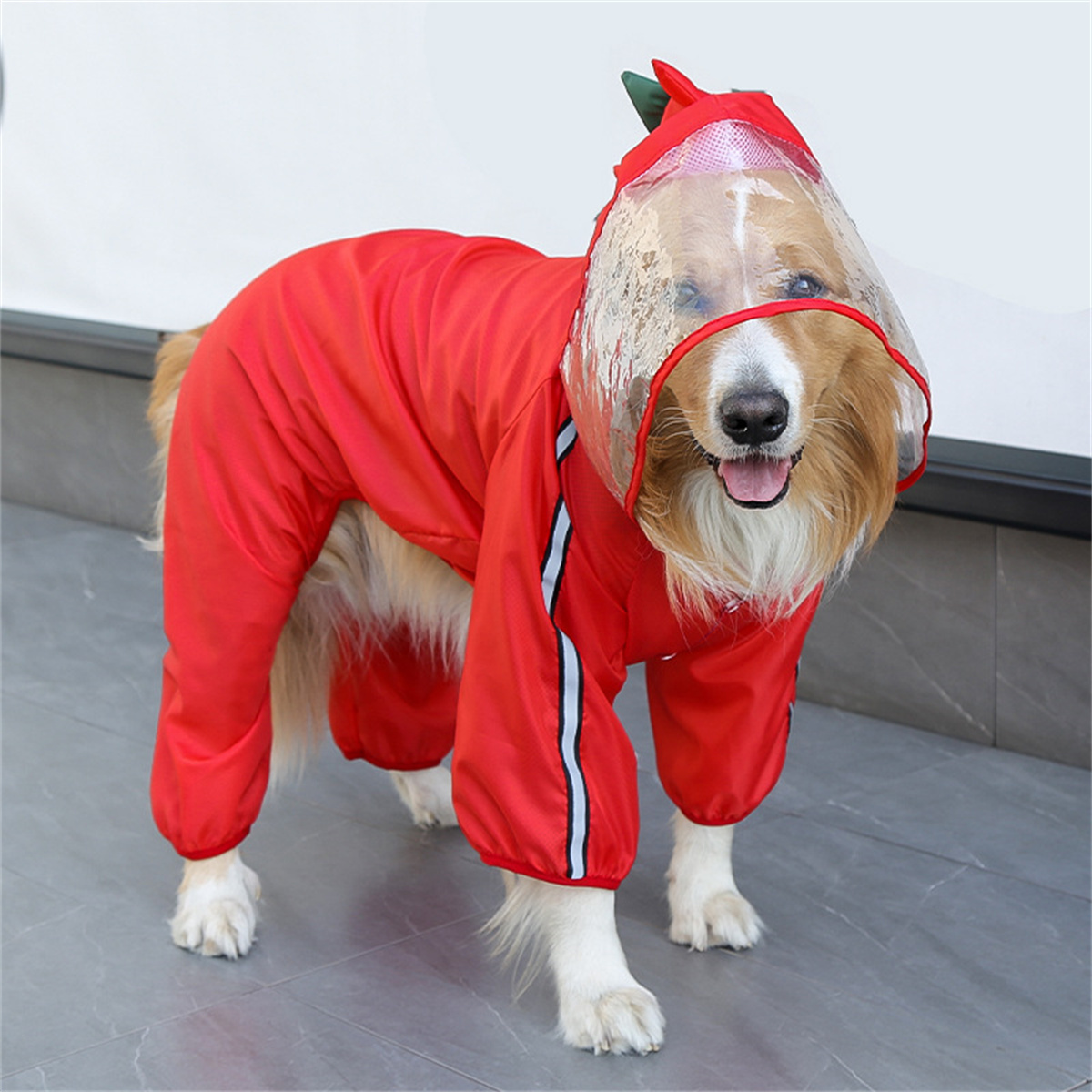 Köpek Yağmurluk Su Geçirmez Do - Dog Raincoat incelemesi ve fiyatı