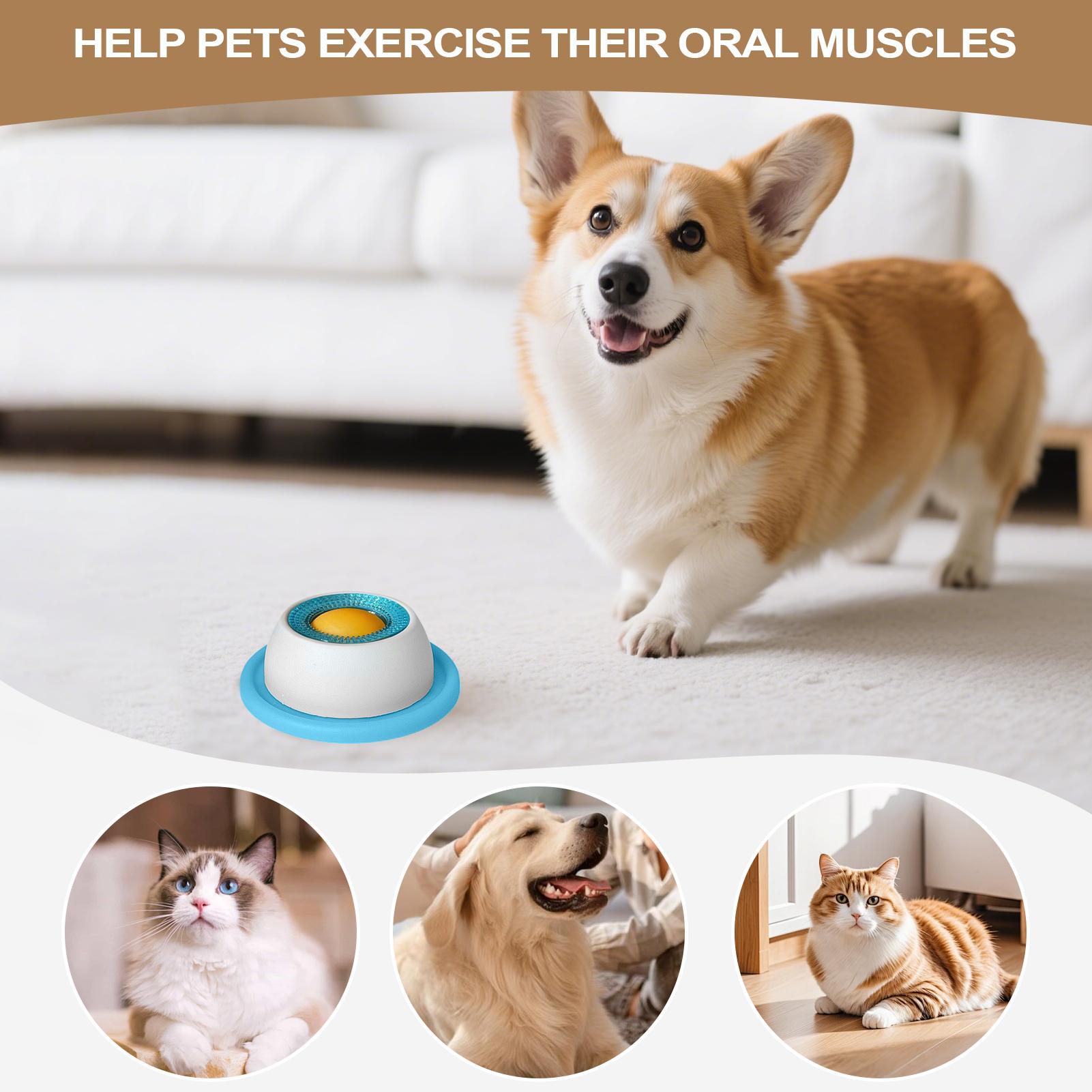 Evcil Hayvan Besleme Aksesuarl - Dog Treat Puzzle Toy incelemesi ve fiyatı
